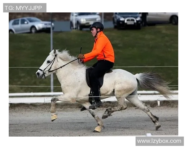 足球明星矮脚马的魅力与风采揭秘及其在球场上的独特表现 足球明星矮脚马的魅力与风采揭秘及其在球场上的独特表现