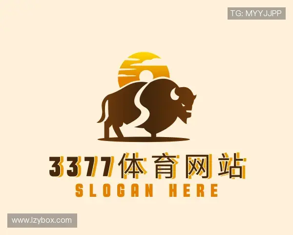 解读3377体育网站